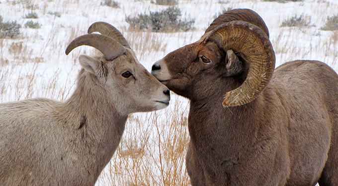 TWICE the RAM…just for EWE